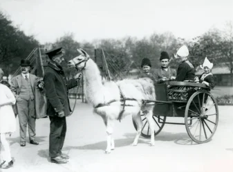 Armeense bezoekers rijden in een lama-kar in London Zoo, mei 1923